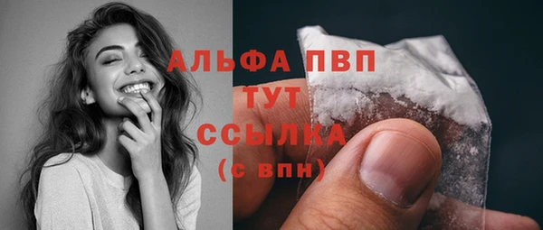 стаф Алексин