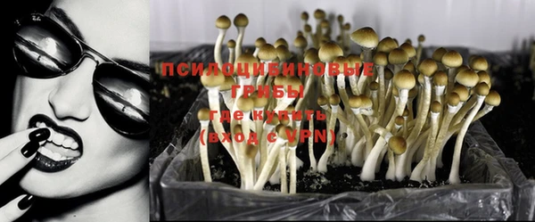 стаф Алексин