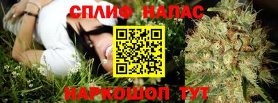 гидра Аргун