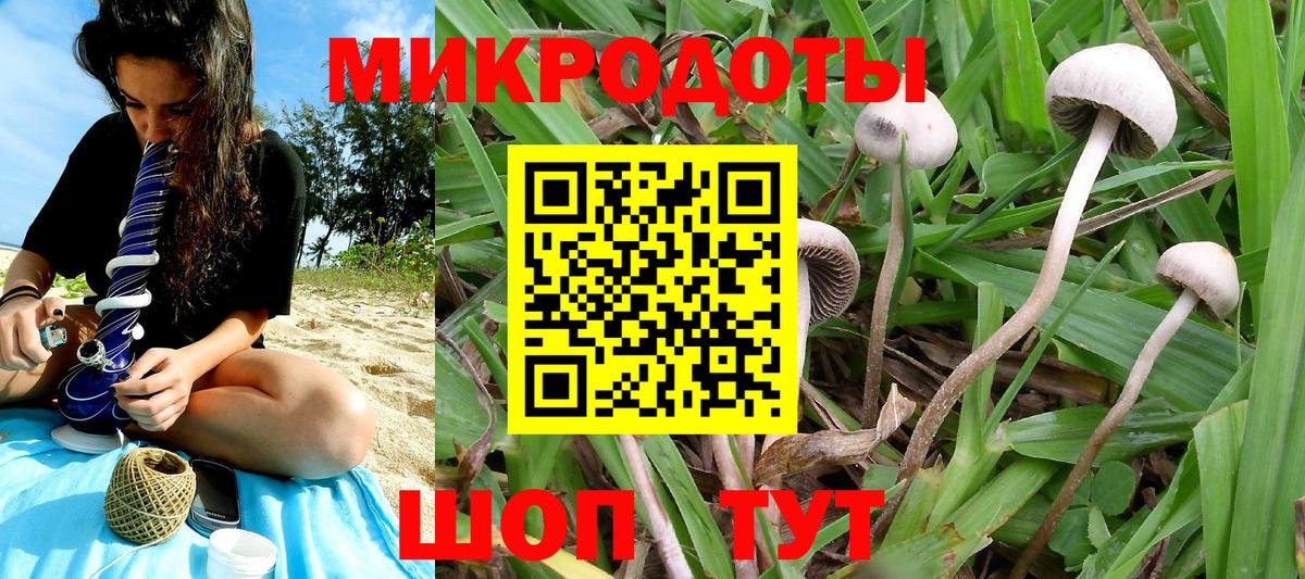 Белгород  Галлюциногенные грибы GOLDEN TEACHER  Вход с VPN 