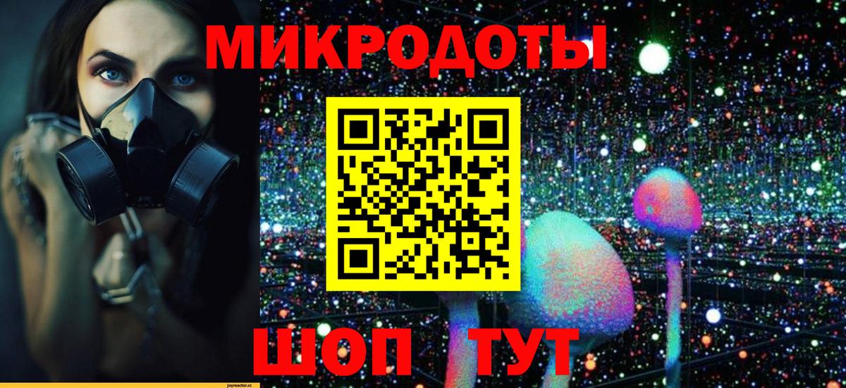 Псилоцибиновые грибы мицелий Белгород