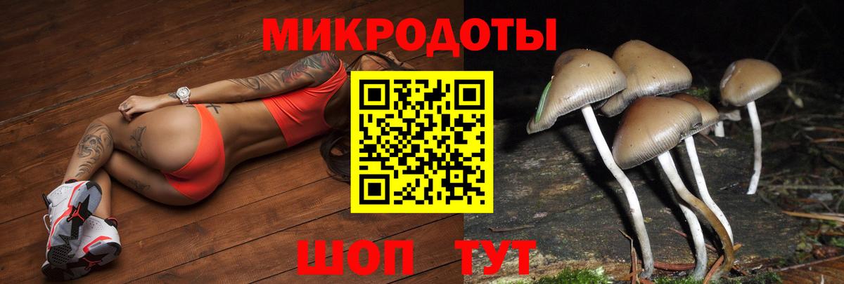 Псилоцибиновые грибы ЛСД Белгород