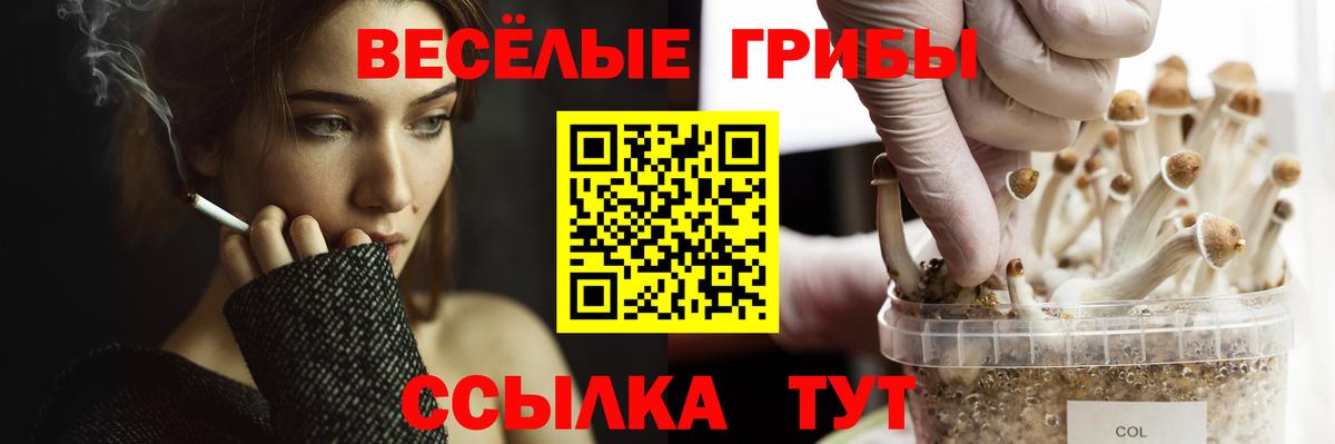 Псилоцибиновые грибы Magic Shrooms  Вход с VPN  Белгород 